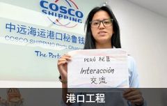 港口工程項(xiàng)目管理軟件